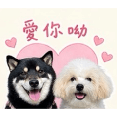 豆&毛part1