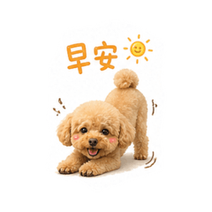 撒嬌小狗