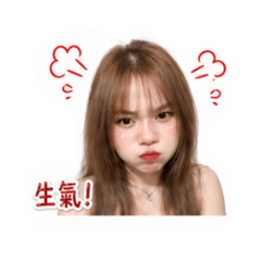 陶小豬