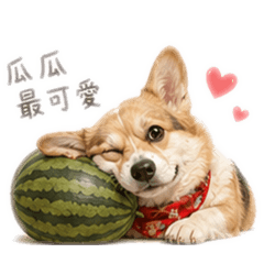 護瓜使者 大寶
