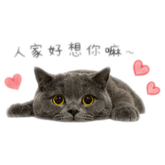 錢錢多多撒嬌貼圖