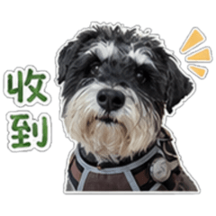 貝貝2026