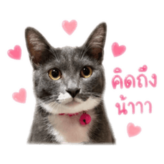 Netty_20260428104722