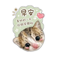 萌喵問候語