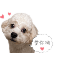 憨吉粿