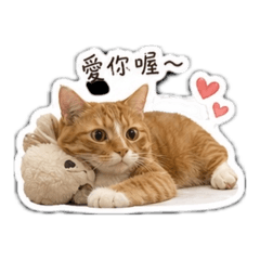 橘子？ 柚子？