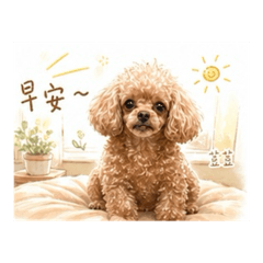 荳荳日常生活日記