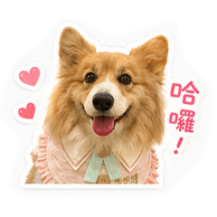 牛奶糖經典語錄