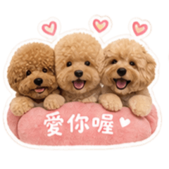 可愛三寶狗狗日常