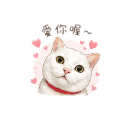 我是毛鼻鼻