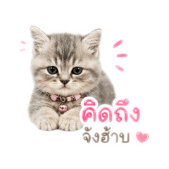 Porawee_20260428105316