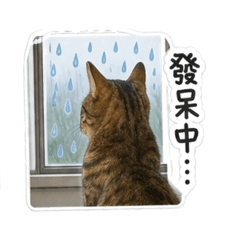 歐克（日常）