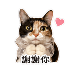 憂憂公主