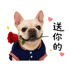 超級可愛的黃小弟