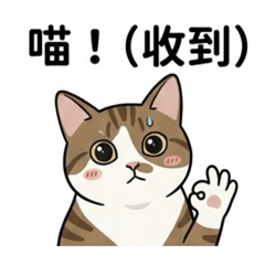胖咪の日常