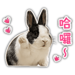 Ella_20260427212127