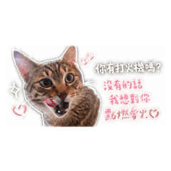 土味情話呀