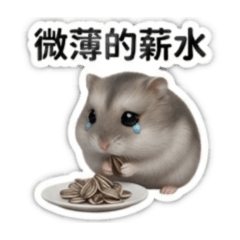 茶米鼠上班日常