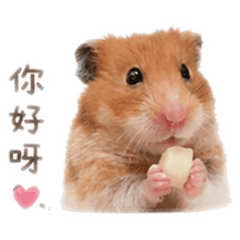 JENNY_20260427211749