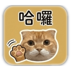 奔跑小天地