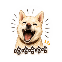 米粒a