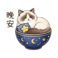 咪咪睡覺打招呼