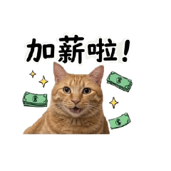 胖橘干罵上班中