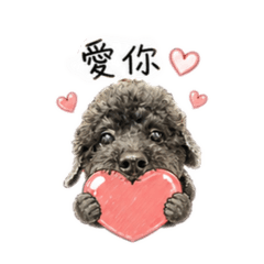 黑ㄌㄨㄌㄨ日常