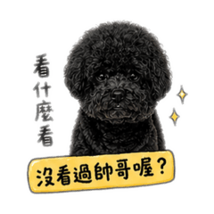 熊熊寶包2