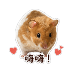 一輛兜小帥（AI日常版）