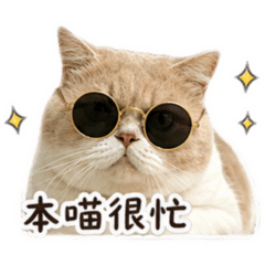 三寶啦