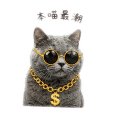 藍大哥與咪小姐