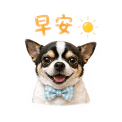 許酷弟-Q版