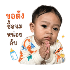 One_msw.crane_20260428105119