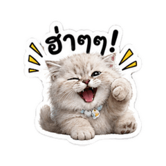 ZKDLIN(hanxxs)_20260428105039