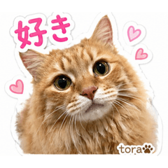 tora's Daily Stickers_A