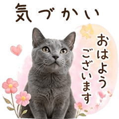 Can be used all the time  Caring