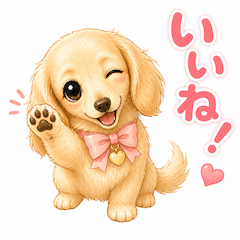 Fluffy Dachshund Puppy Stamps