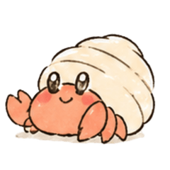 hermit crab days