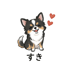 cute chihuahua with boyfriend