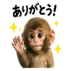 Baby Monkey Japanese Greeting 17