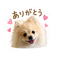 ひょうのあいさつ