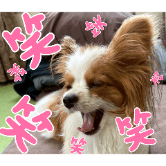 Mugi funny_20260501134307