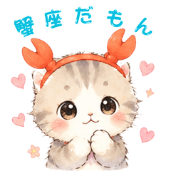 Popon: The Astrology Cat(Cancer)