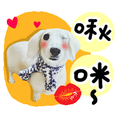白雪公主多多ㄦ~