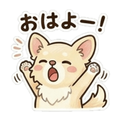 Yashi77_20260501143756