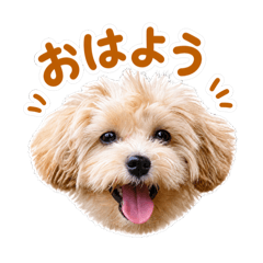 Tsum_20260501144451