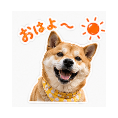 potciDaily Chat Stickers