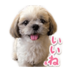 kuro_20260501145219
