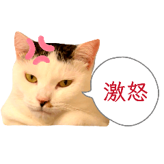 kazuun_20260501151553
